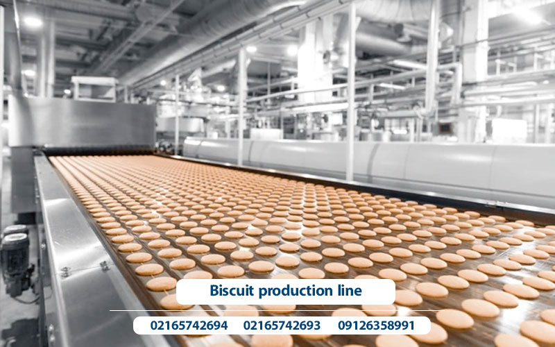 Biscuit production line